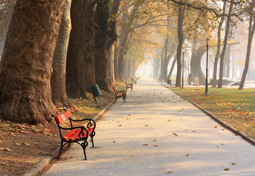 Bohemian Quarter / City Park, Free Parking Daire Üsküp Dış mekan fotoğraf
