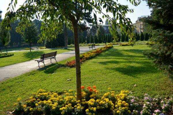 Bohemian Quarter / City Park, Free Parking Daire Üsküp Dış mekan fotoğraf